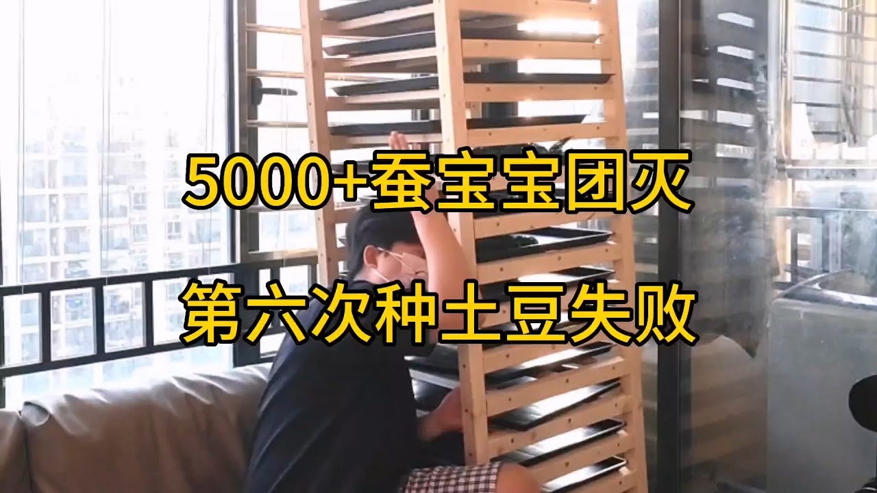 刘场主的日常就是崩溃 解决问题 继续崩溃【刘惟与】#室内农场 #沙雕日常 #生态循环