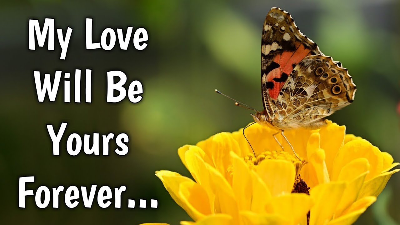 I Am Waiting For You