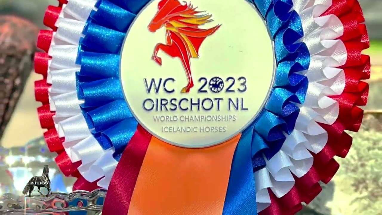WC Iclandic Horses 2023 in The Netherlands