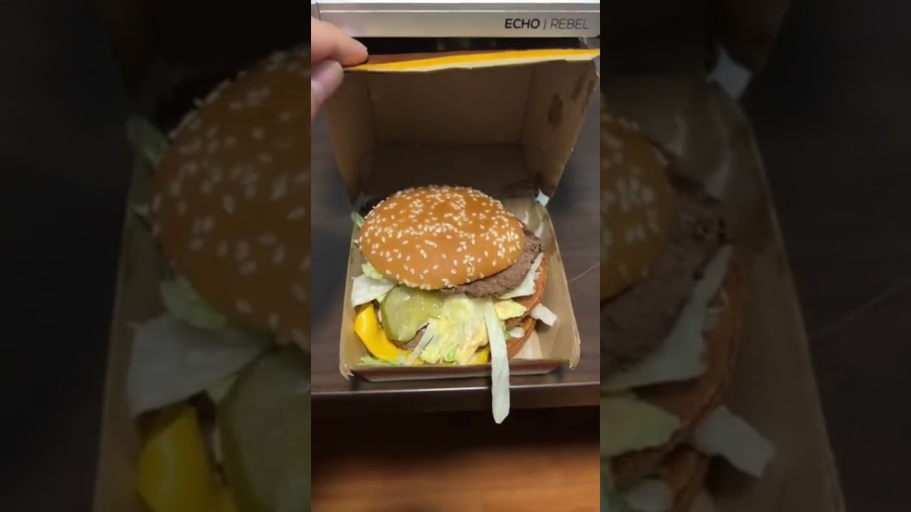BigMac under the microscope 🤯 #microscope #science #mcdonalds #bigmac