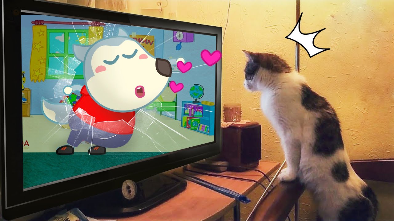 Funny Cat Reaction to Wolfoo From TV 😾🐶 Wolfoo in Real Life ! Funniest Cats And Dogs Videos