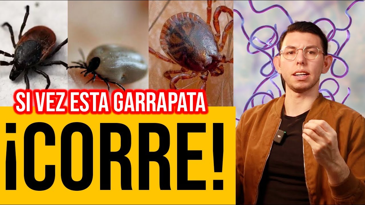 Que NO te PIQUEN!! ENFERMEDADES por GARRAPATAS!! |Dr.PoloGuerrero