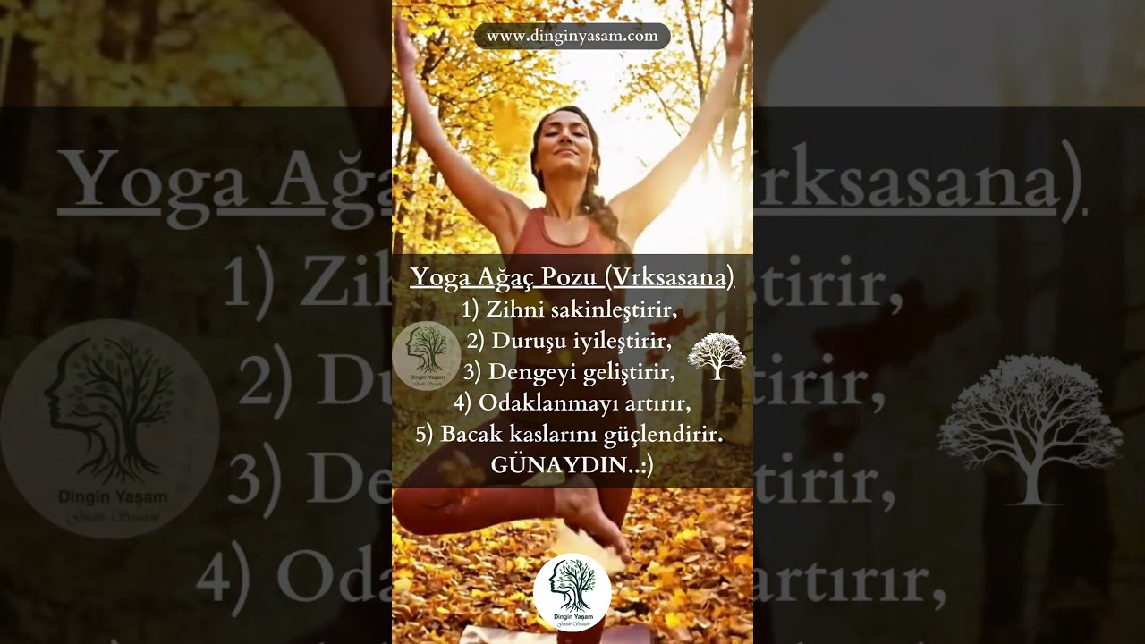 1 Dakikada Yenilen!✨🧘&zwj;♀️✨| Yoga Ağa&ccedil; Pozu ve Faydaları!🌳✨