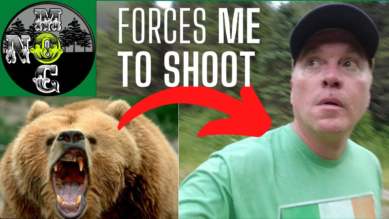 Brown Bear enters camp | Dogs alert me | SHOTS FIRED | #vanlife #bear #attackstrategies