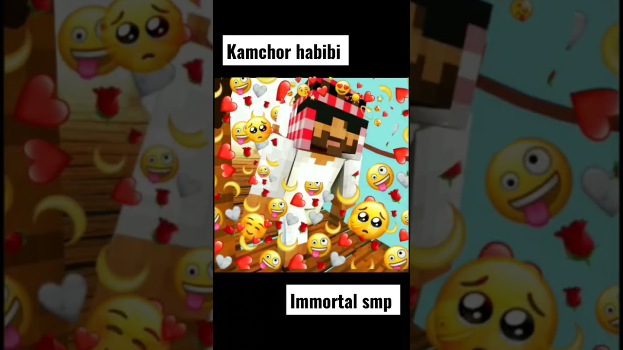 kam chor habibi lalit !!! minecraft immortal smp!!!!   #minecraftshorts #affixreloaded