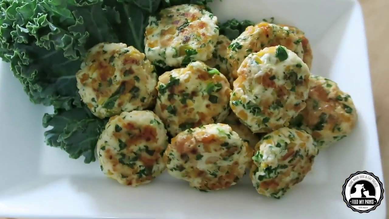 EASY CHICKEN PATTIE RECIPE FOR DOGS (especially Seniors!)