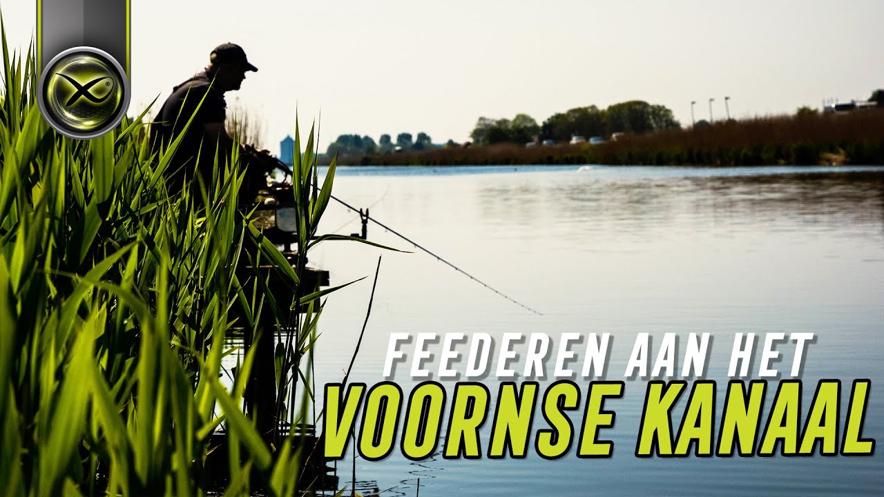 Feederen aan het Voornse Kanaal
