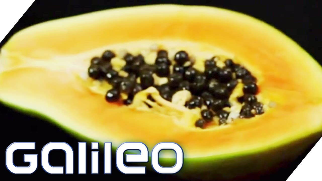 Food Upcycling | Galileo | ProSieben