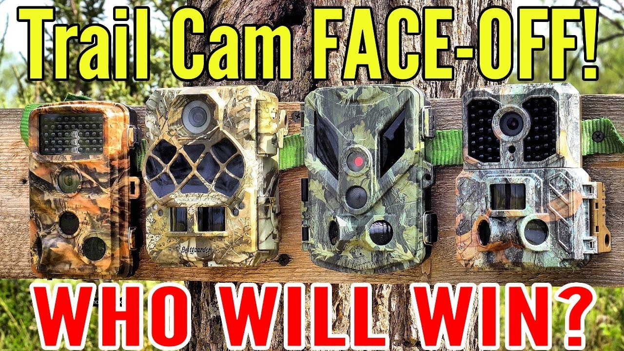 🦌 Trail Camera Faceoff! Who Will Win? Campark T45 VS 3 Others.