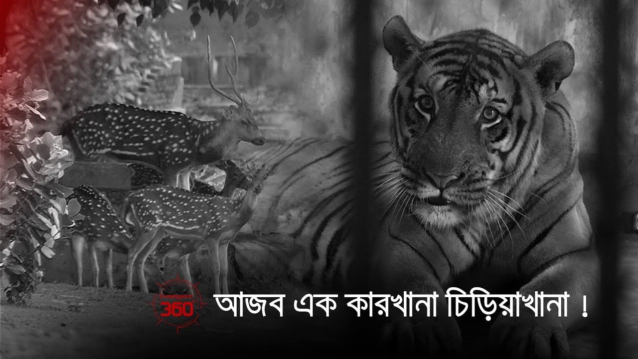 আজব এক কারখানা চিড়িয়াখানা | Investigation 360 Degree | EP 109 | July 2016