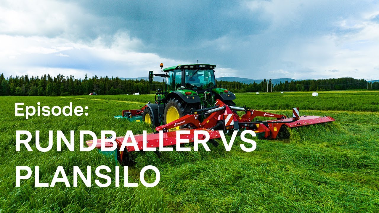 Lønnsomt grovfôr - fra dyrking til fôring - rundballer vs  plansilo