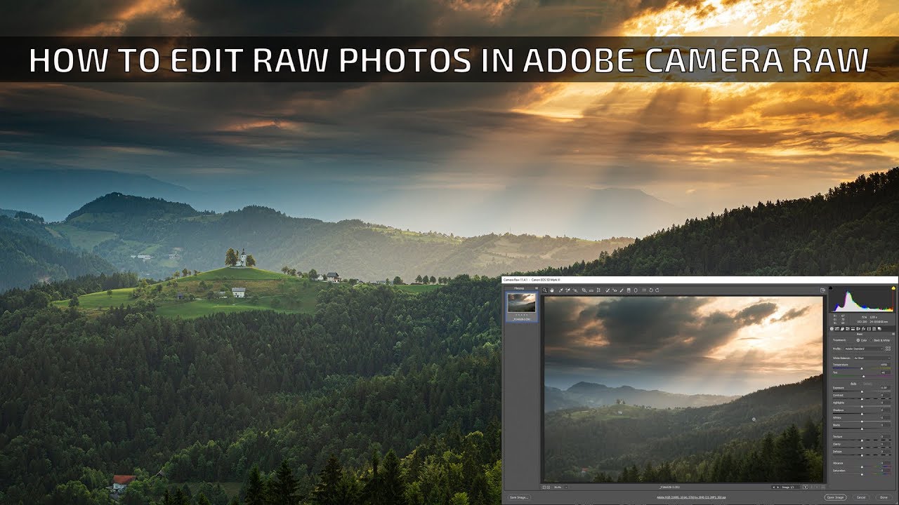 Adobe Camera RAW editing tutorial - The Best RAW image editing software