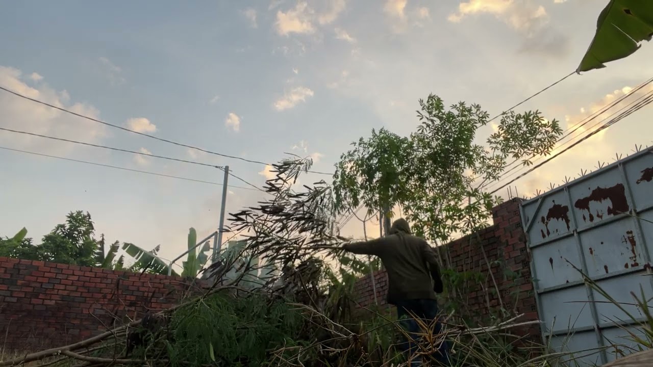 Cleaning the Garden (Part 2) ASMR| Natural Work Sounds