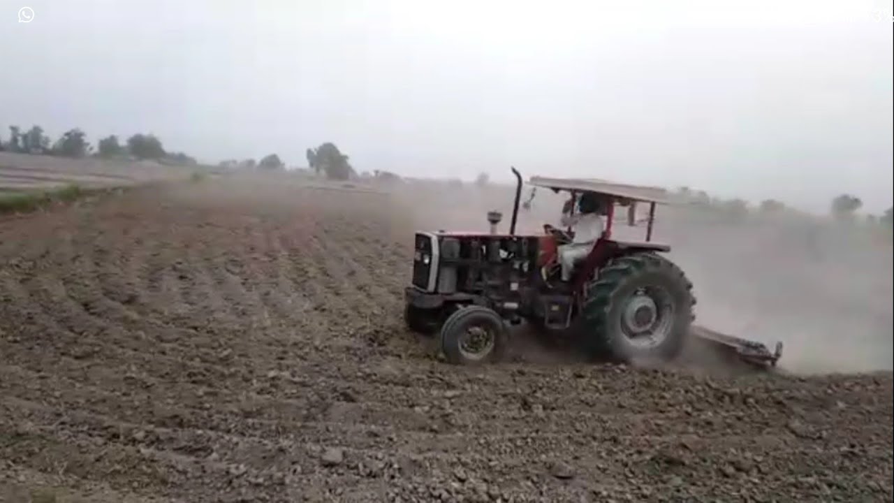 MF 385 perkins 2006 Model | Video from our subscriber