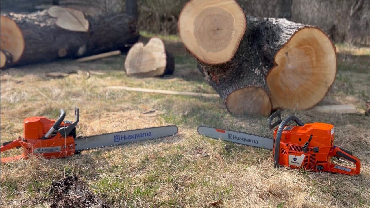 Holzfforma 288XP vs 395XP (clone wars)