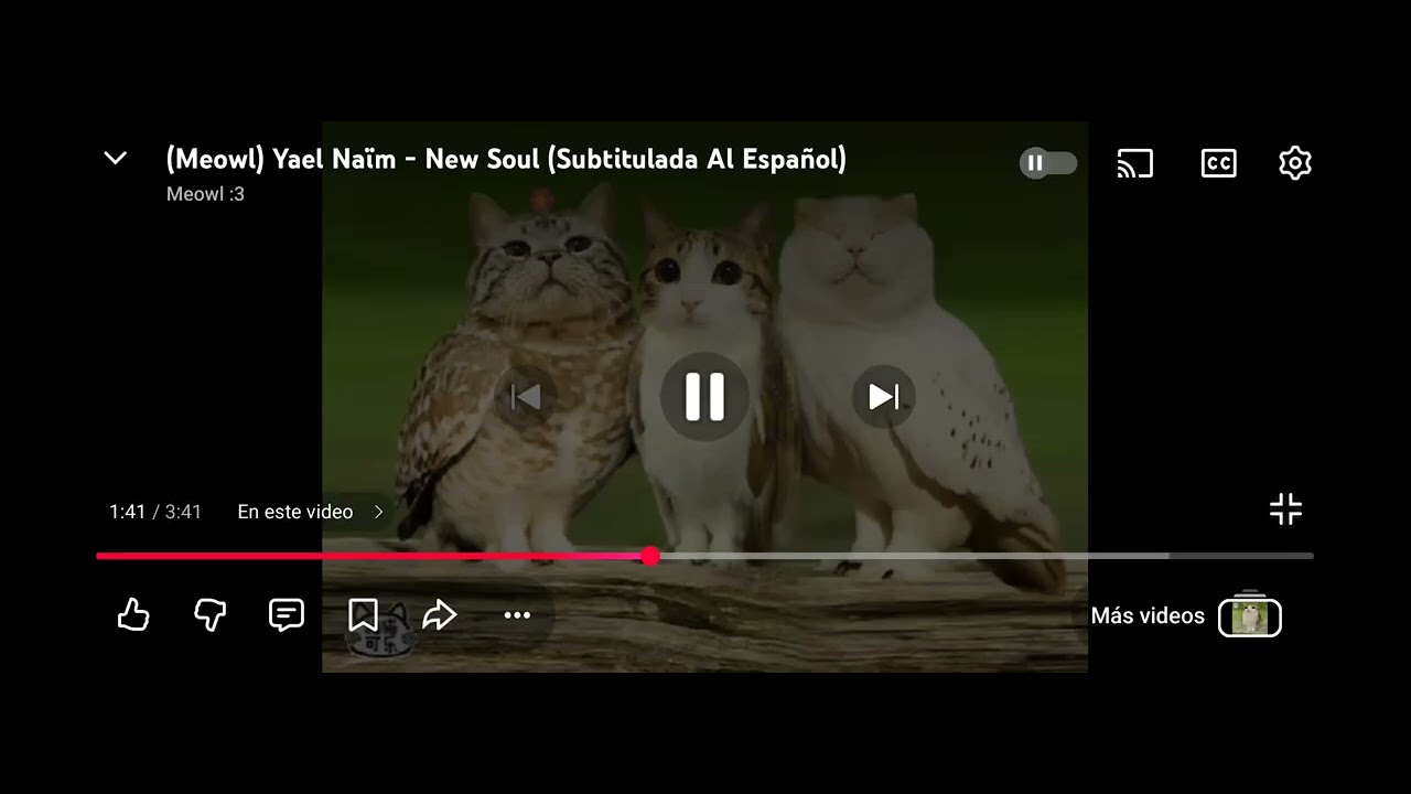 Meowl