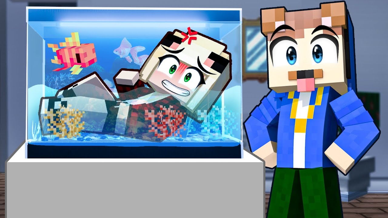 ICH PRANKE EPIC UND LEBE HEIMLICH IN SEINEM AQUARIUM!