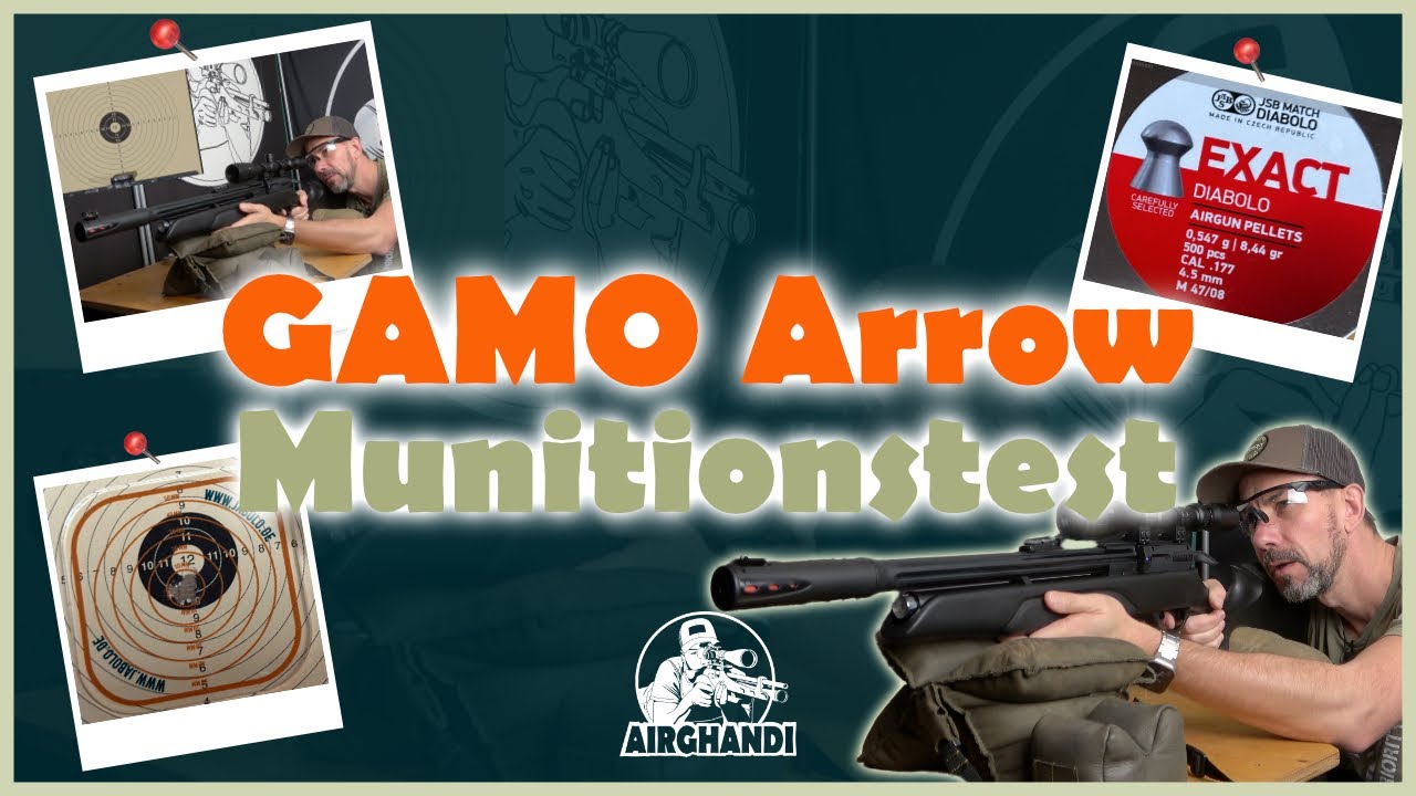 Gamo Arrow - Der große Munitionstest