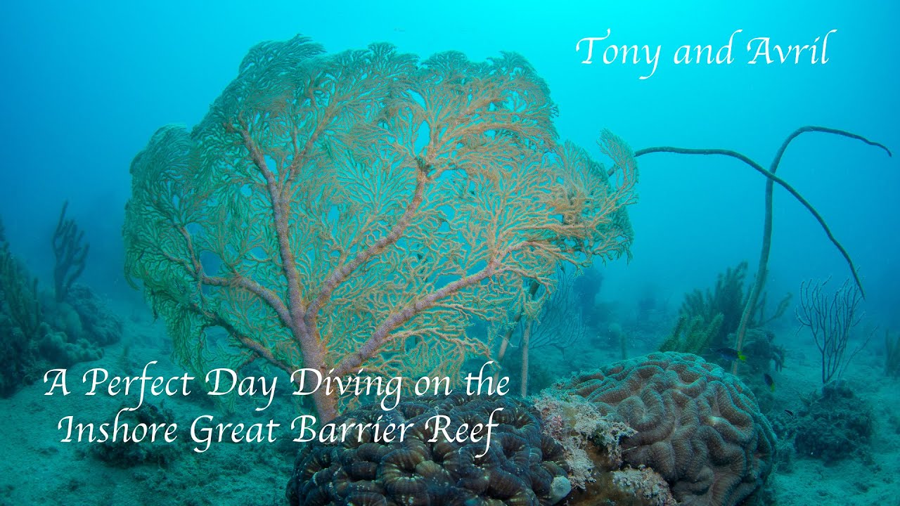 A perfect day at Gumbrell Island on the inshore Great Barrier Reef