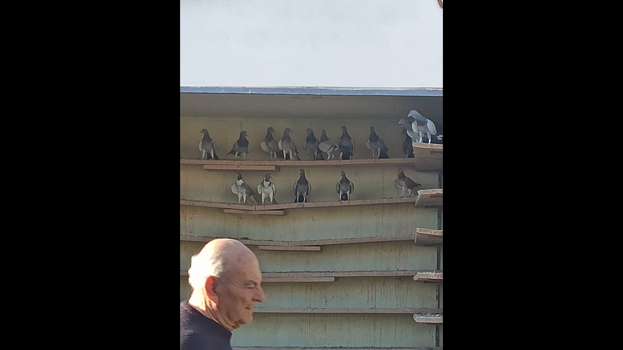 ΠΑΠΑΡΓΥΡΗΣ ΤΑΚΗΣ ΤΥΡΝΑΒΟΣ 6 ΠΕΤΑΞΙΕΣ ΣΕ 2 ΩΡΕΣ