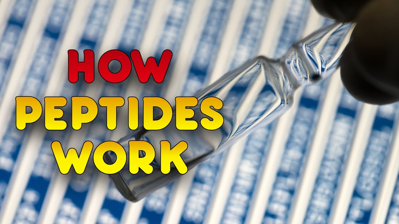 How Do Peptides Work | MOTS-C & SS-31 Peptides Working