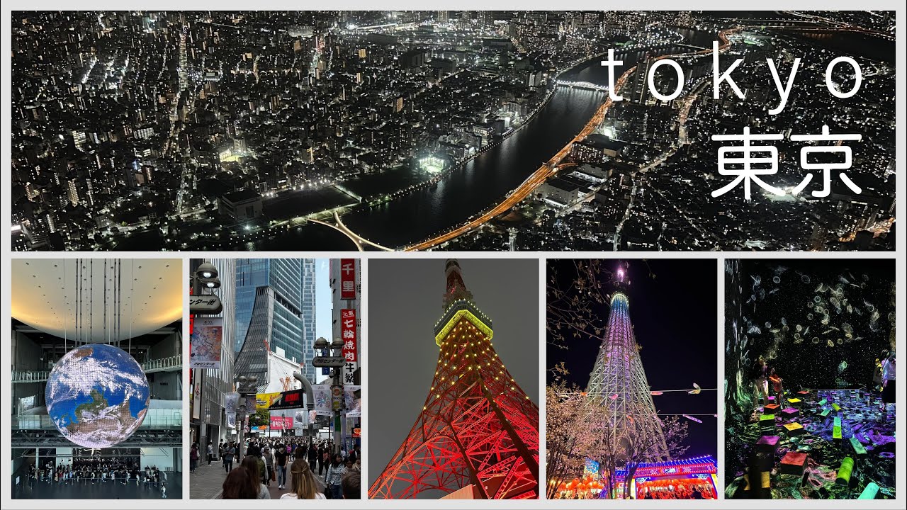 Abenteuer Japan - Tokyo 2025 - alle TOP Sehenswürdigkeiten in diesem VLOG | Shibuya Teamlab Skytree