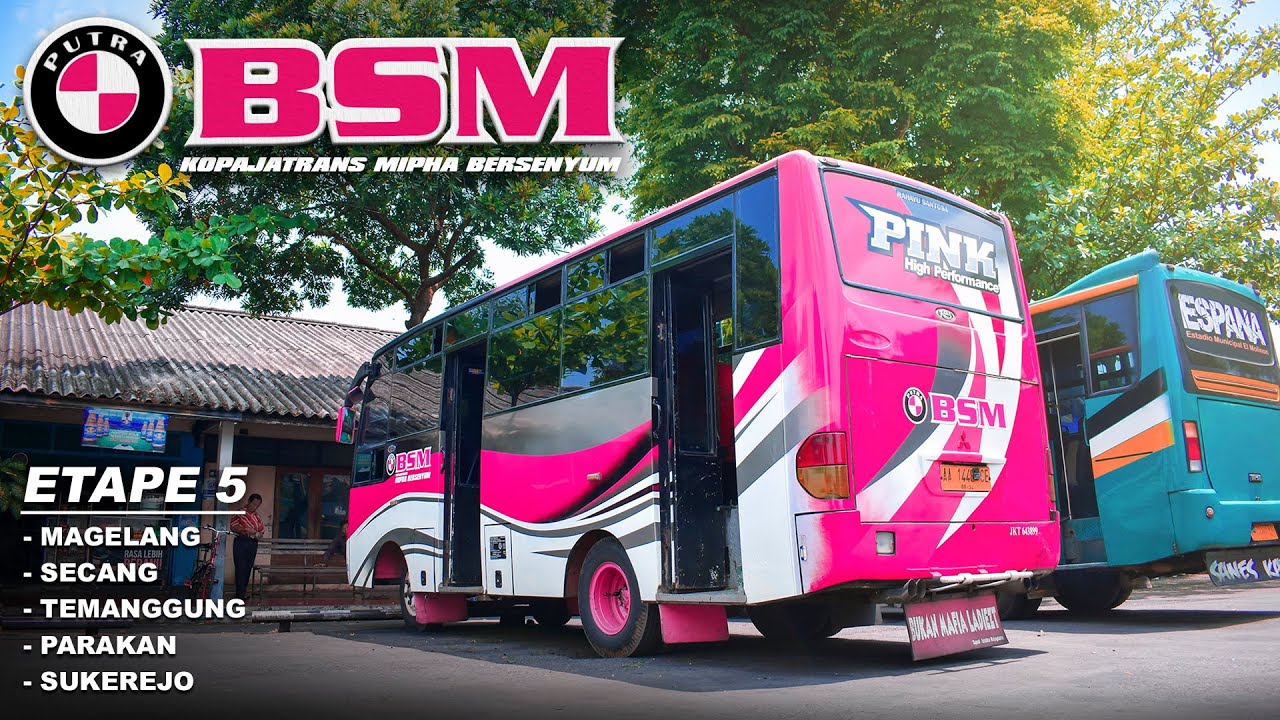 Pinky Bus! Naik Bus Putra BSM, Magelang - Sukorejo