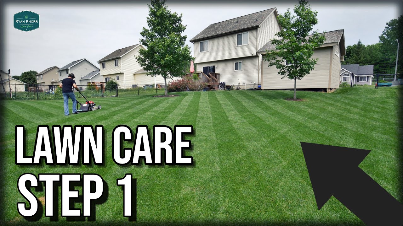 BEFORE You Apply ANYTHING To Your Lawn...Watch This // Lawn Care Step 1