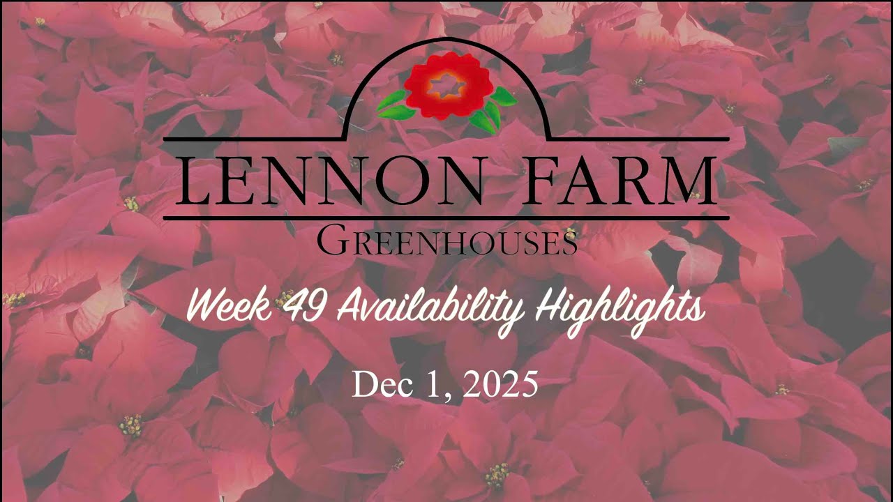 Availability Highlights: Dec 1, 2025
