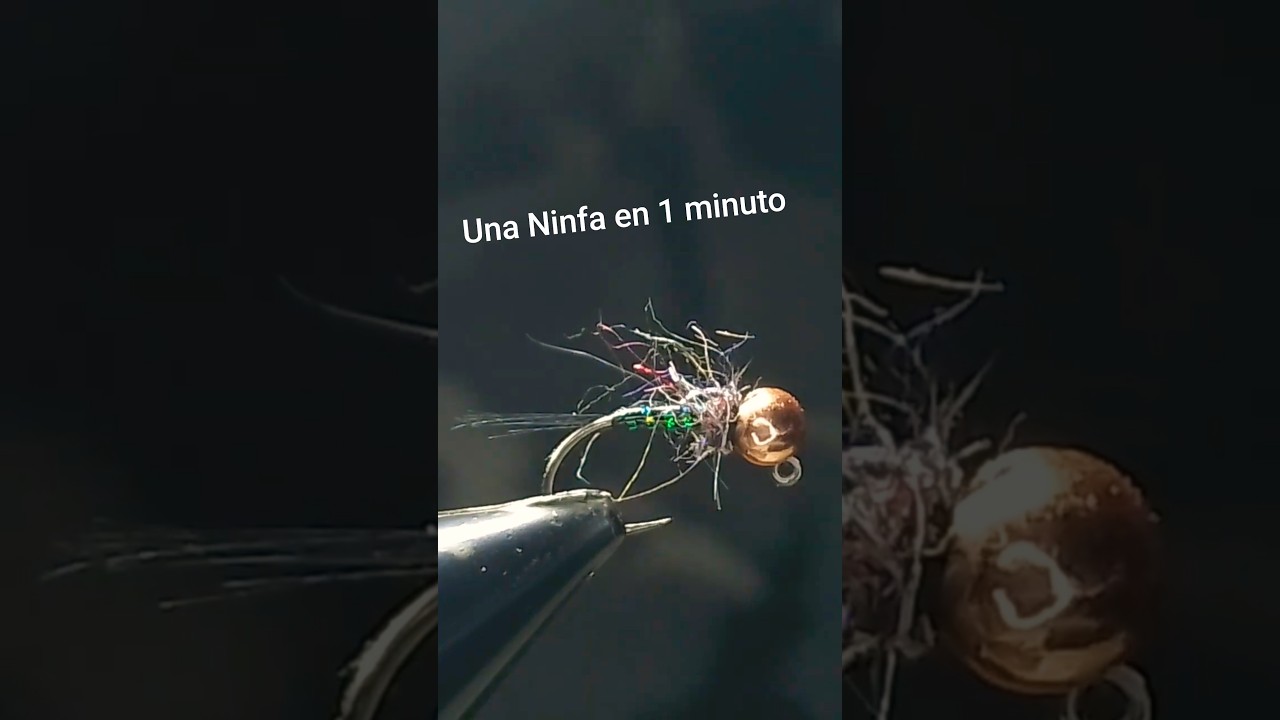 🪶 Una mosca en 1 minuto | Atado Express de Moscas por Jordi Babusci  