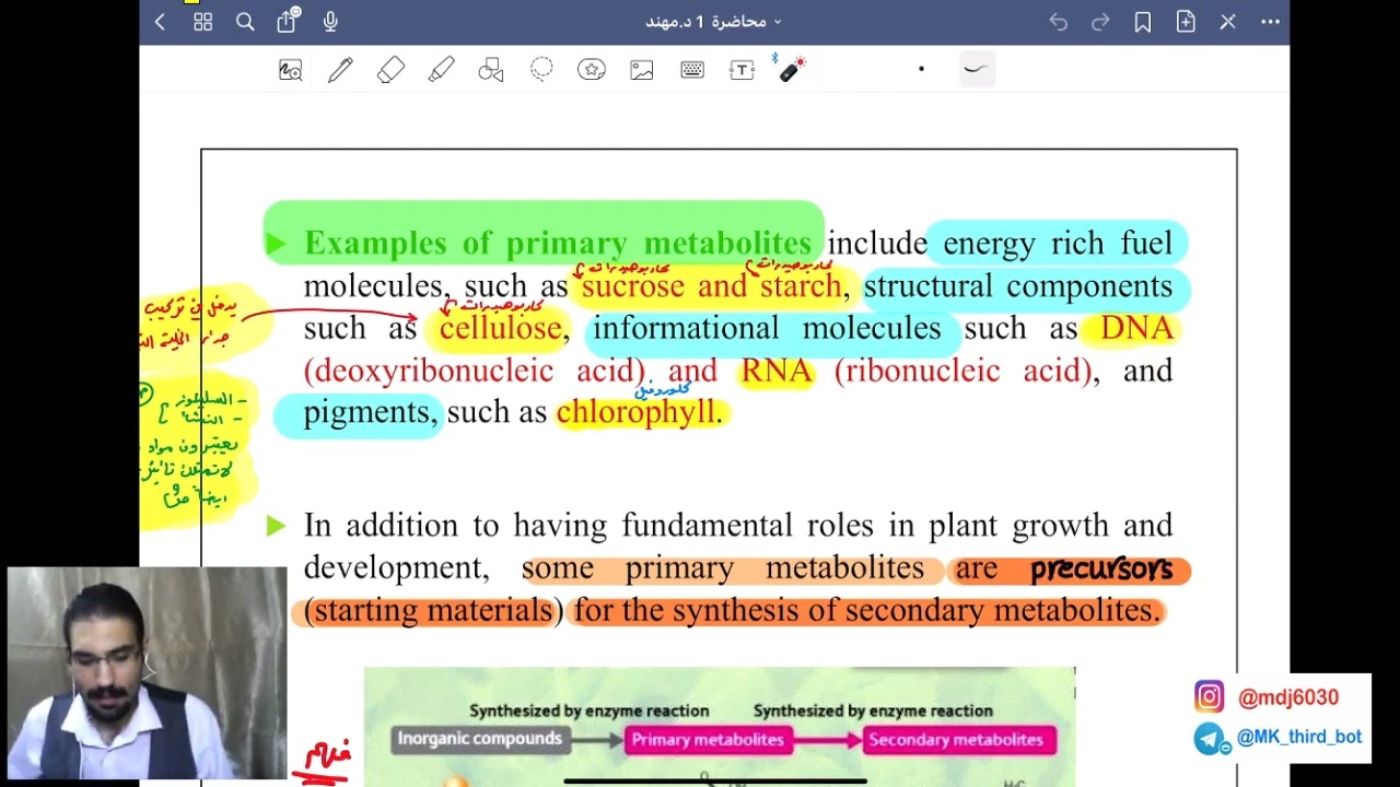 مرحلة ثالثة | Pharmacognosy | Biosynthetic approach of medical natural products Part 1