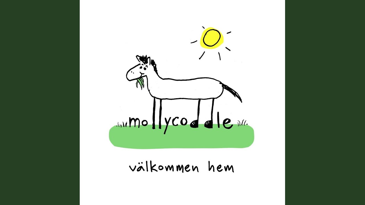 Konstapel p&Atilde;&yen; isen