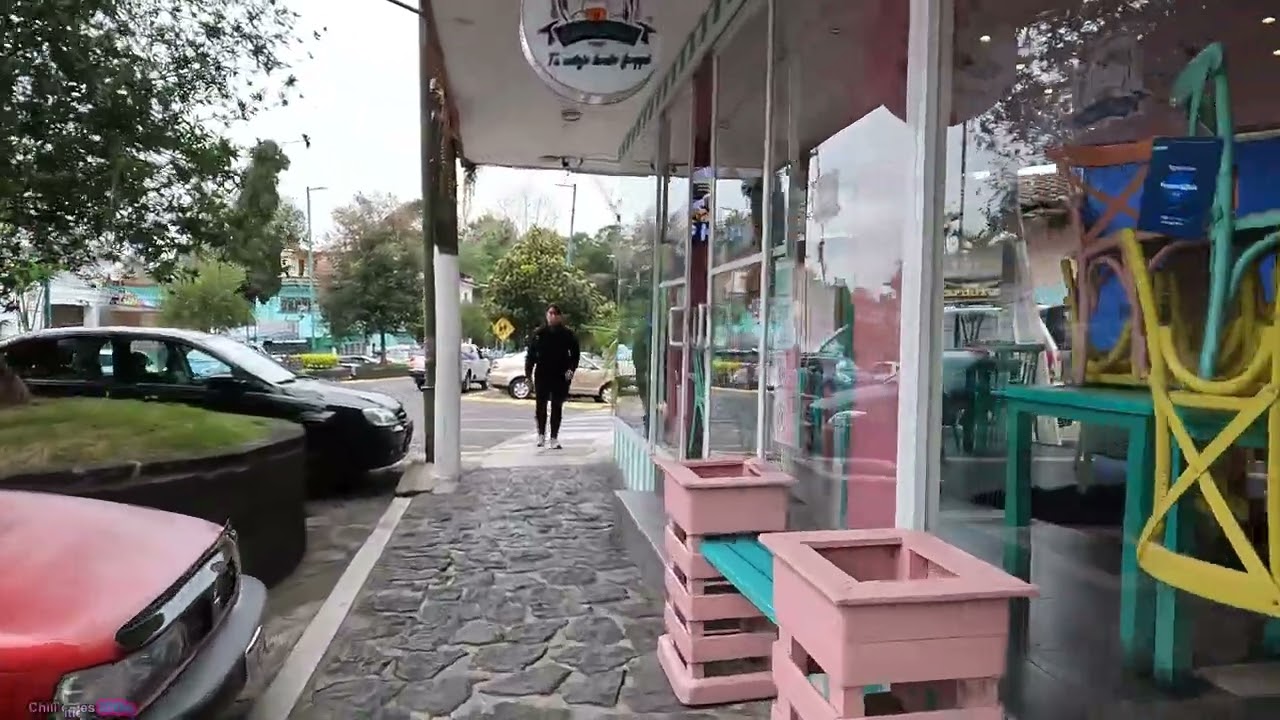 Xalapa | M&eacute;xico 🇲🇽 [4k] CAMINANDO por las mejores calles y CALLEJONES. Centro, Los Berros, Murillo V