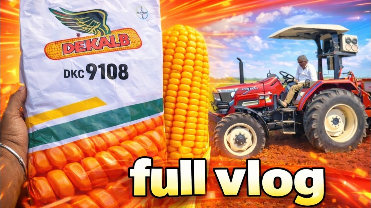 DKC 9108 ਮੱਕੀ ਦੀ ਬਿਜਾਈ ਤੇ ਪੂਰੀ ਜਾਣਕਾਰੀ| Bayer Dekalb DKC ਨਵੀਂ ਤਕਨੀਕ ਨਾਲ ਖੇਤੀ