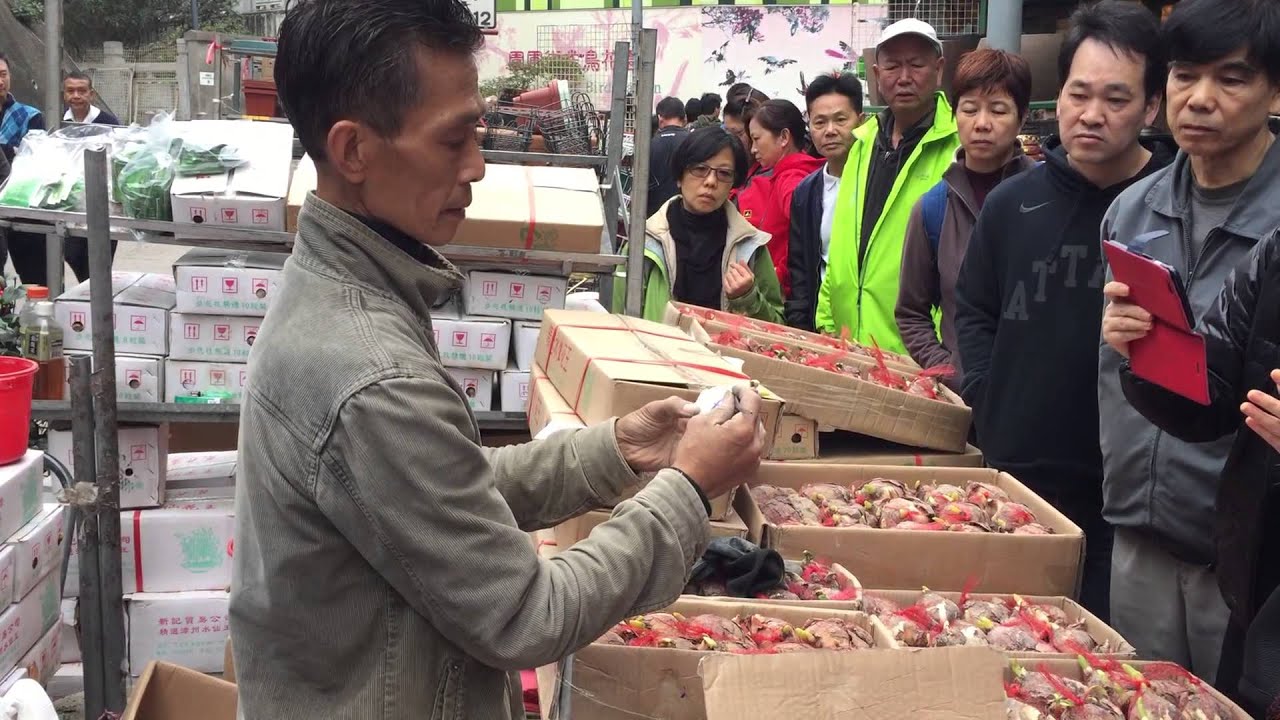水仙花頭切割方法示範