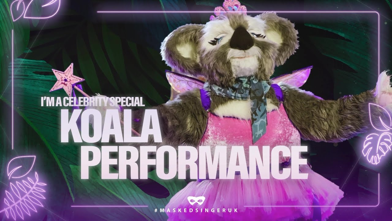 Koala Performs 