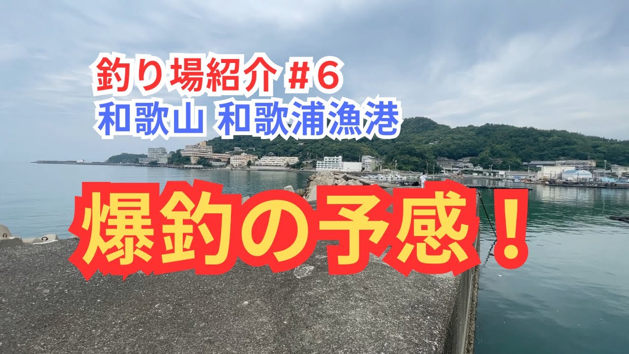 【釣り場紹介#6】和歌山 和歌浦漁港