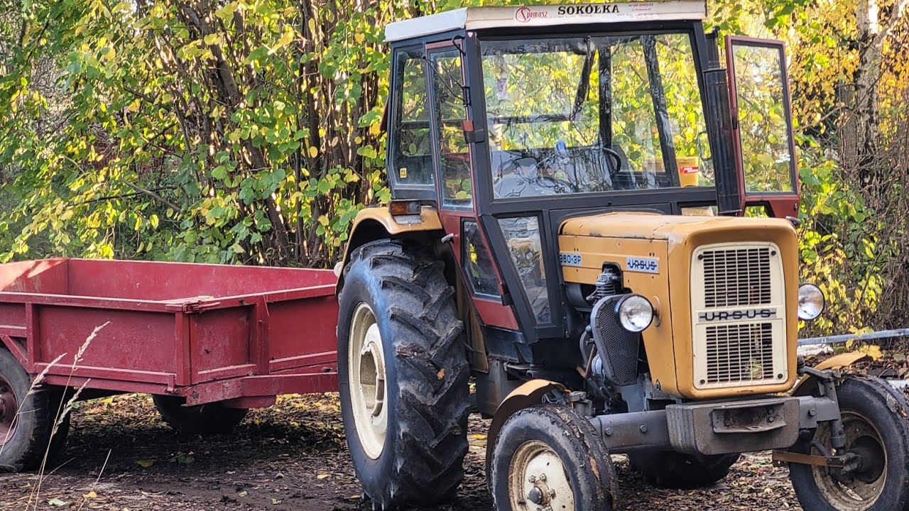 Przycinka drzew na zimę/ Ursus c360 3p/Fendt Gigantyczny rębak/suszarnia do kukurydzyDźwięk silnika 
