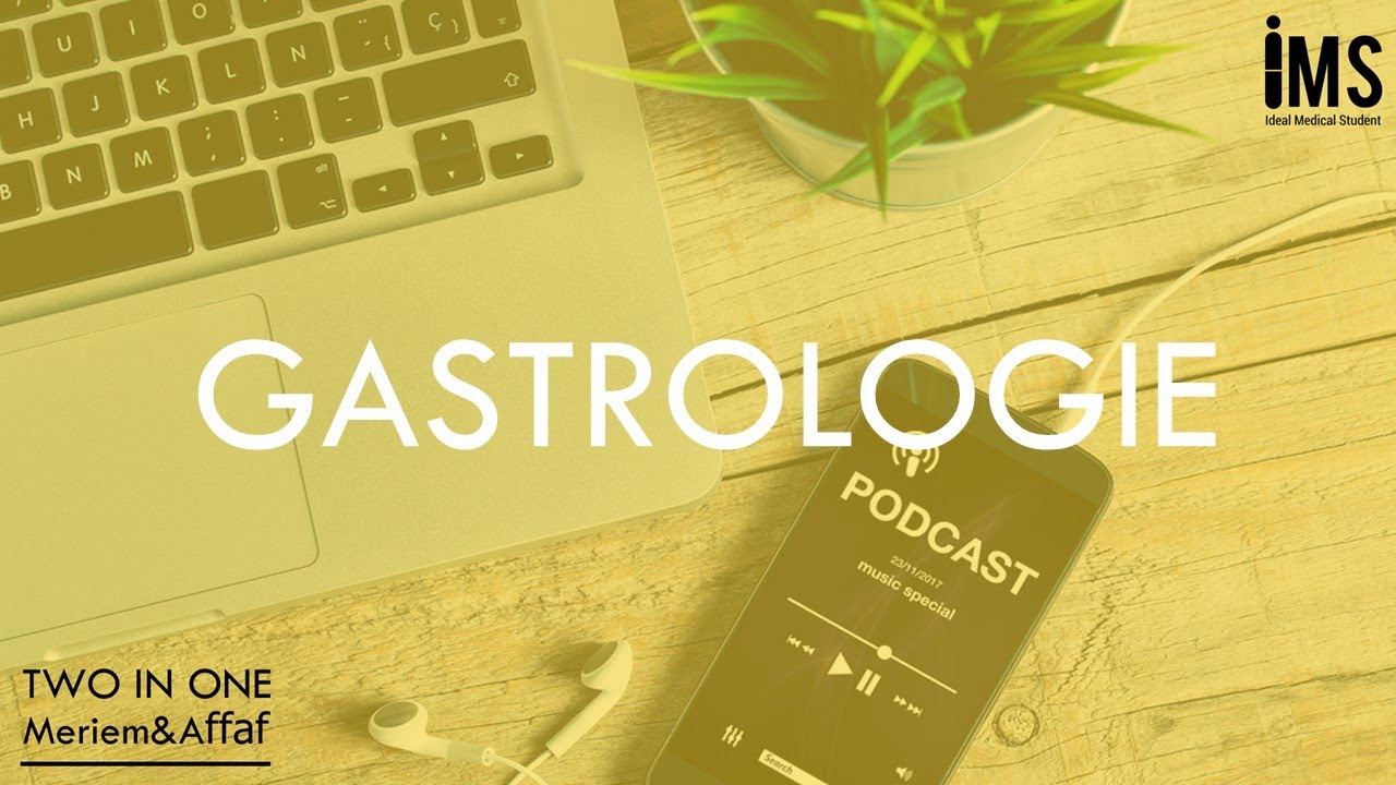 two in one | le système modulaire | gastrologie | cours,td,examen,sources
