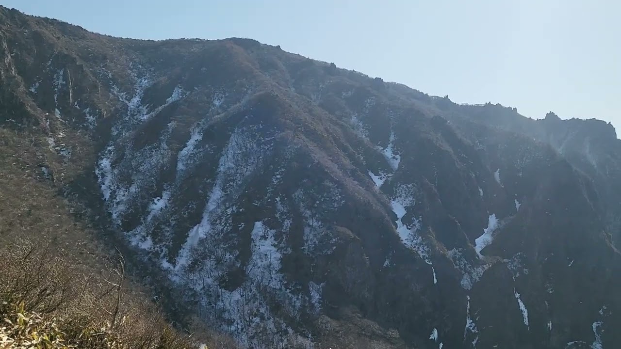 오늘 영실