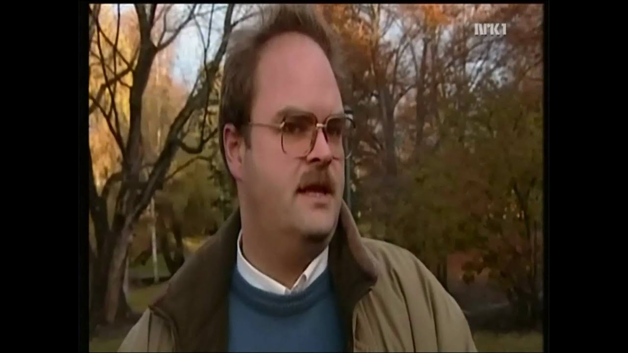 språkvaskeren