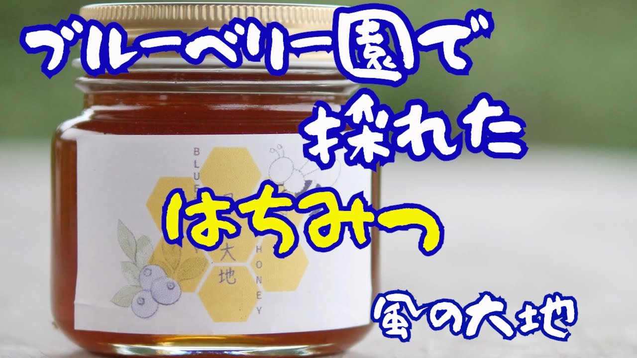 【ブルーベリー】ブルーベリー園で採れたはちみつ。(宮崎県)