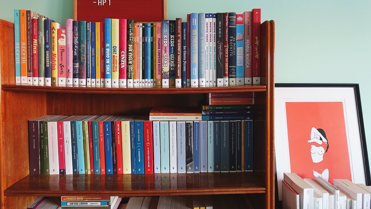 BOOKSHELF TOUR 2019!