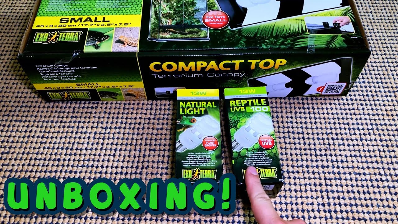 Unboxing Exo Terra Compact Top! Update on hiding Gecko GoGoGeckoGo