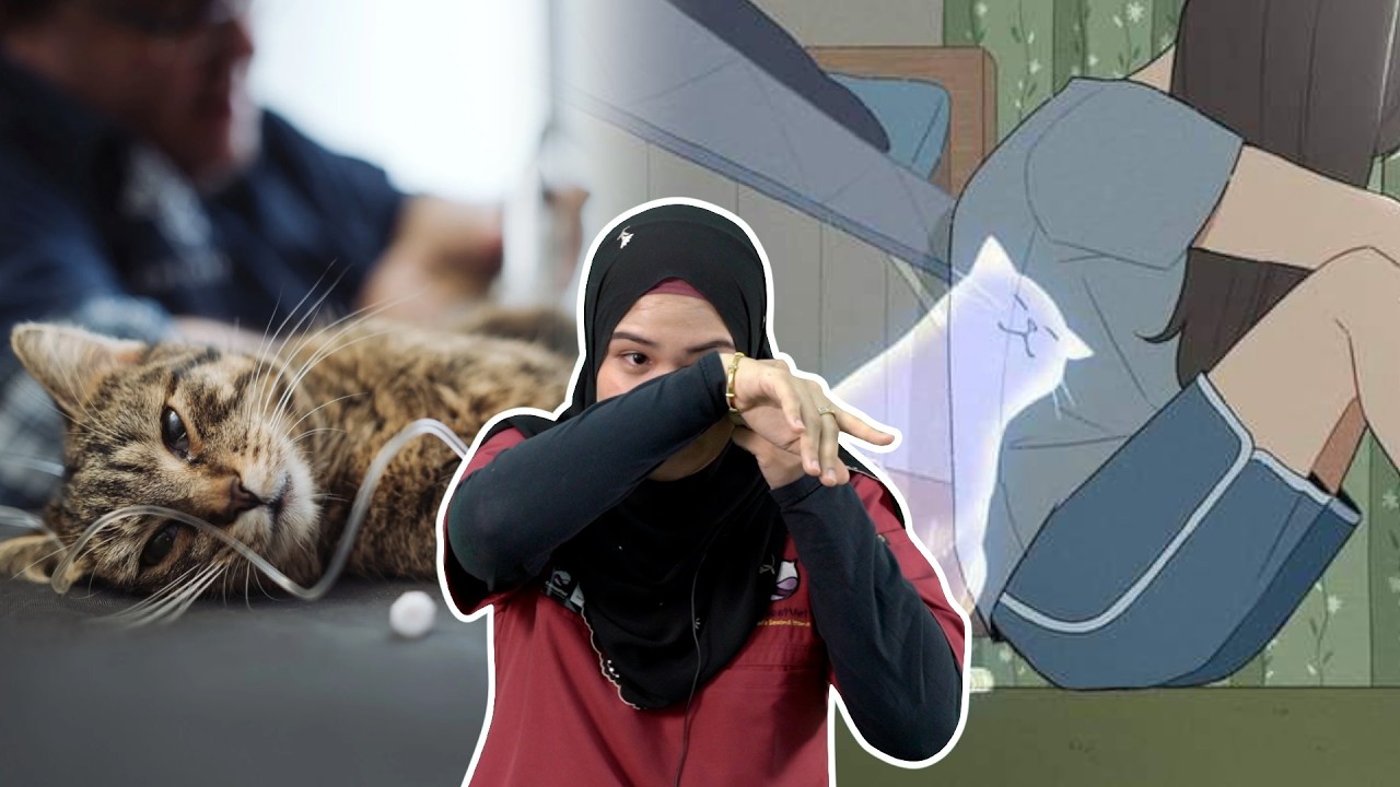 Yang Bela Kucing Je Faham Sedihnya Bila Kucing Mati
