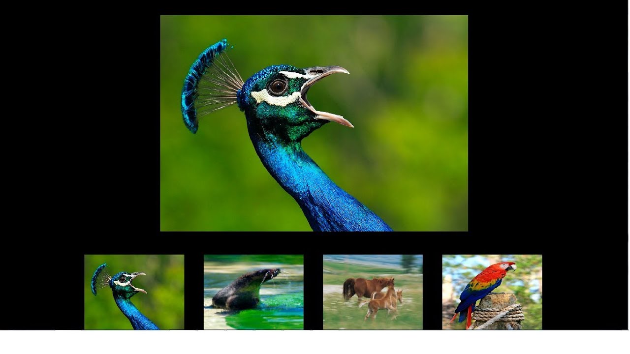 Flash CS6 Tutorial: How to create a Flash Gallery in Actionscript 3.0