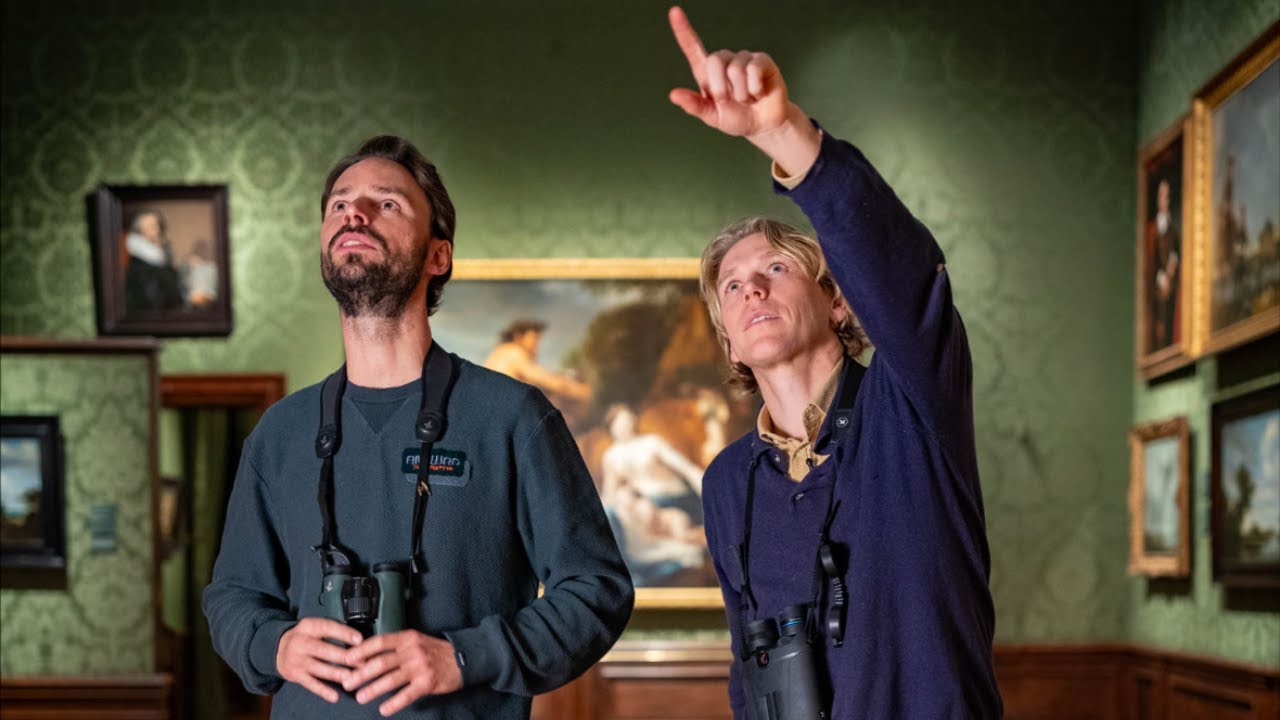 Vogels kijken in het Mauritshuis