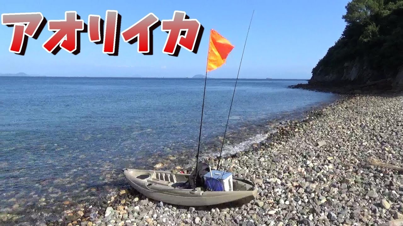 カヤックでアオリイカを釣りにいったら爆釣したよ【エギング】