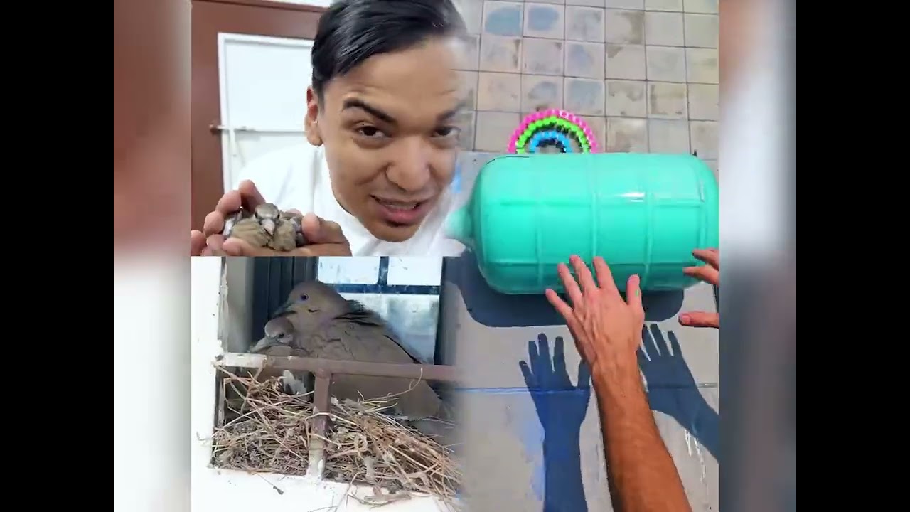 🤣👌👌👌2026 pov Must-Watch Crazy Clips Compilation #humor #fypシ #pov #fyp #foryou 😍😜