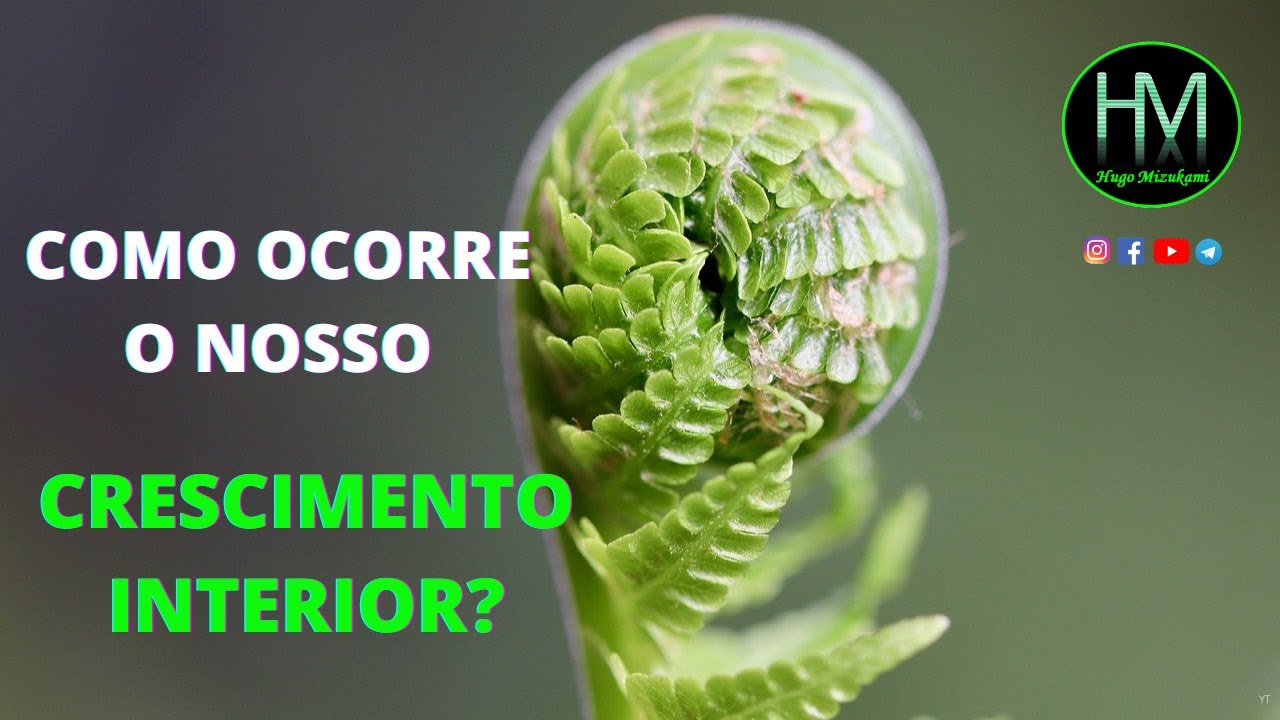 COMO OCORRE O NOSSO CRESCIMENTO INTERIOR?